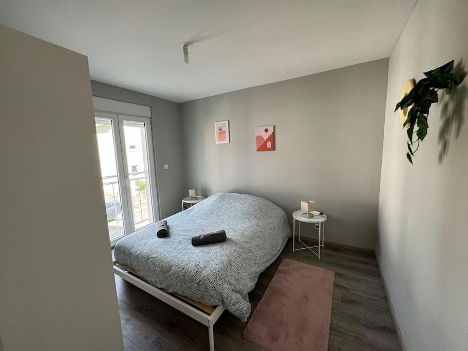Instant Cosy Apartman Strasbourg Kültér fotó
